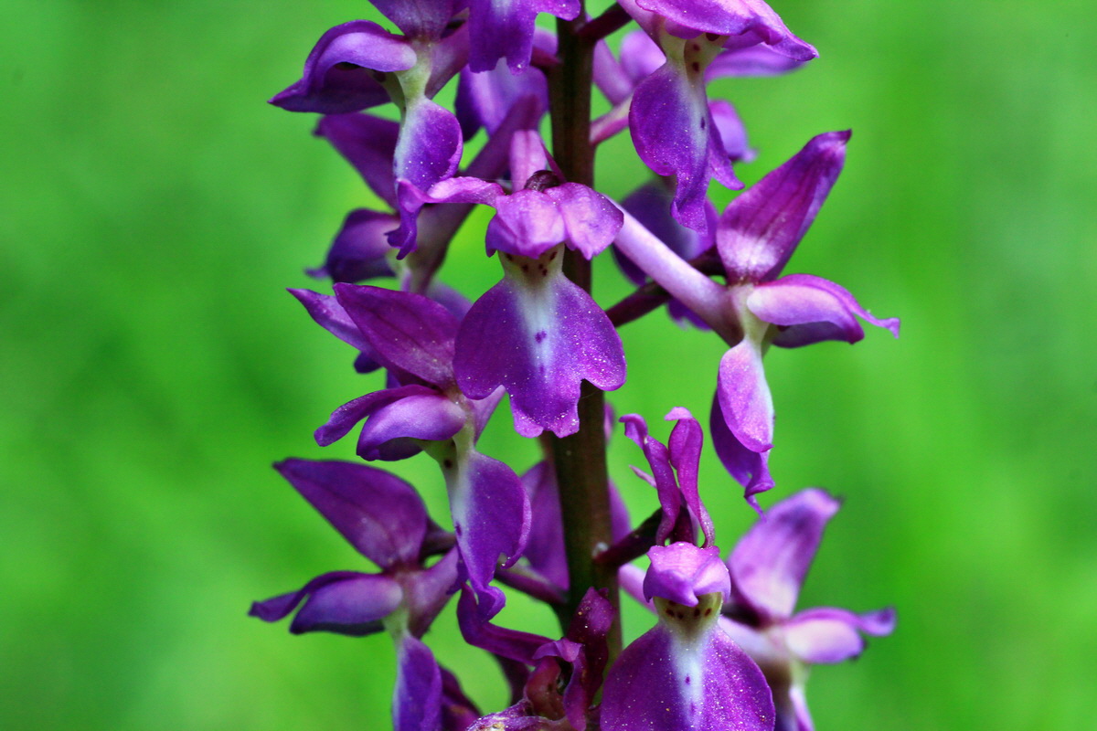 2015_05_09_00018999p_Bildgr��e �ndern