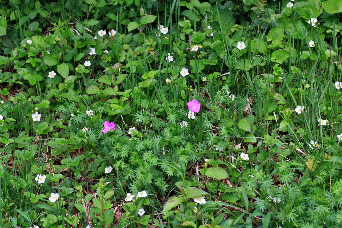 2015_05_09_00019003p_Bildgr��e �ndern