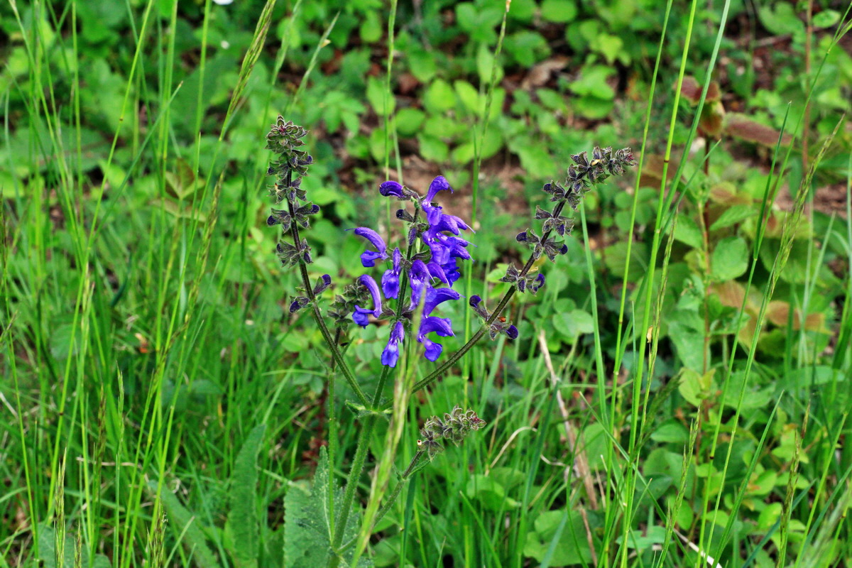 2015_05_09_00019004p_Bildgr��e �ndern