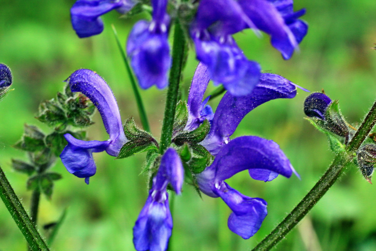 2015_05_09_00019006p_Bildgr��e �ndern