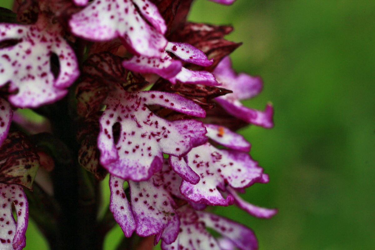 2015_05_09_00019013p_Bildgr��e �ndern