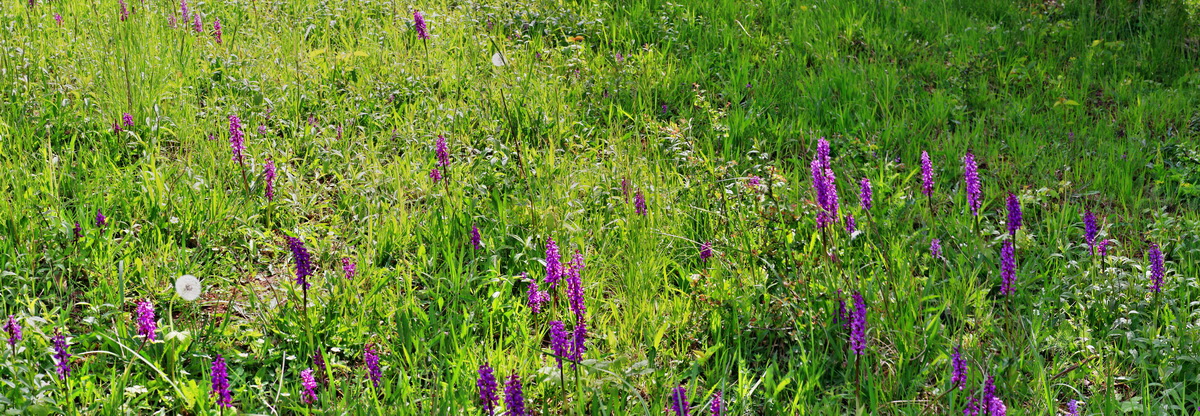 [Group 2]-2015_05_11_00019144_2015_05_11_00019149-5 imagesp_Bildgr��e �ndern