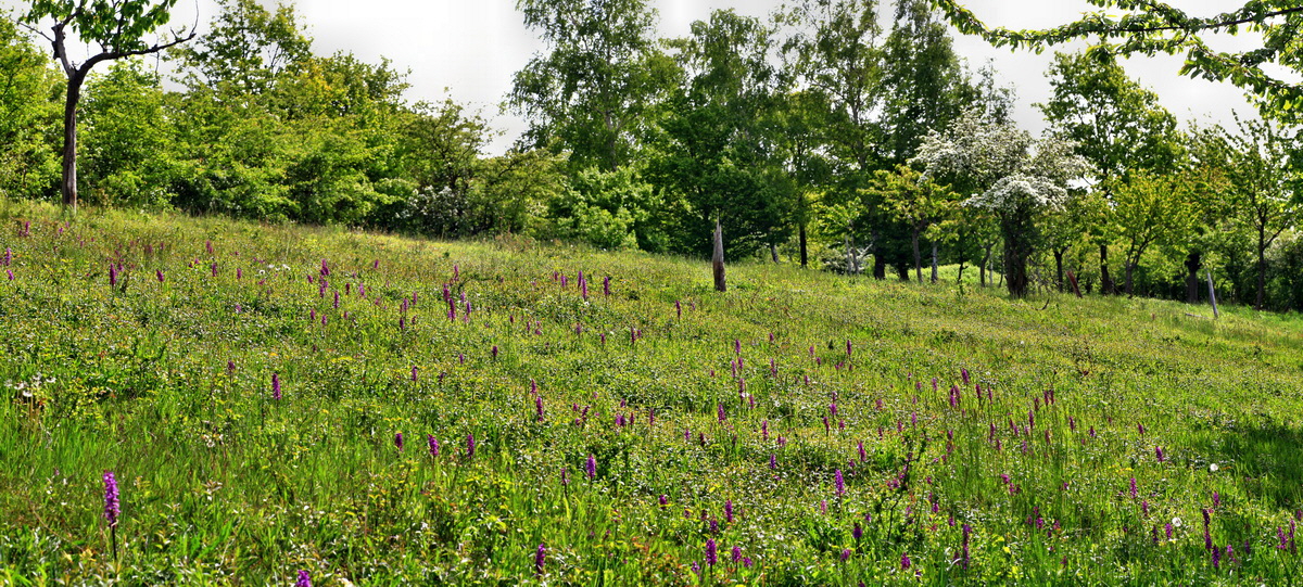 [Group 2]-2015_05_11_00019160_2015_05_11_00019168-9 imagesp_Bildgr��e �ndern