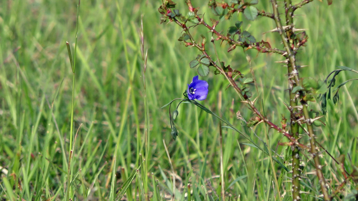 05-11-2015_093802p_Bildgr��e �ndern