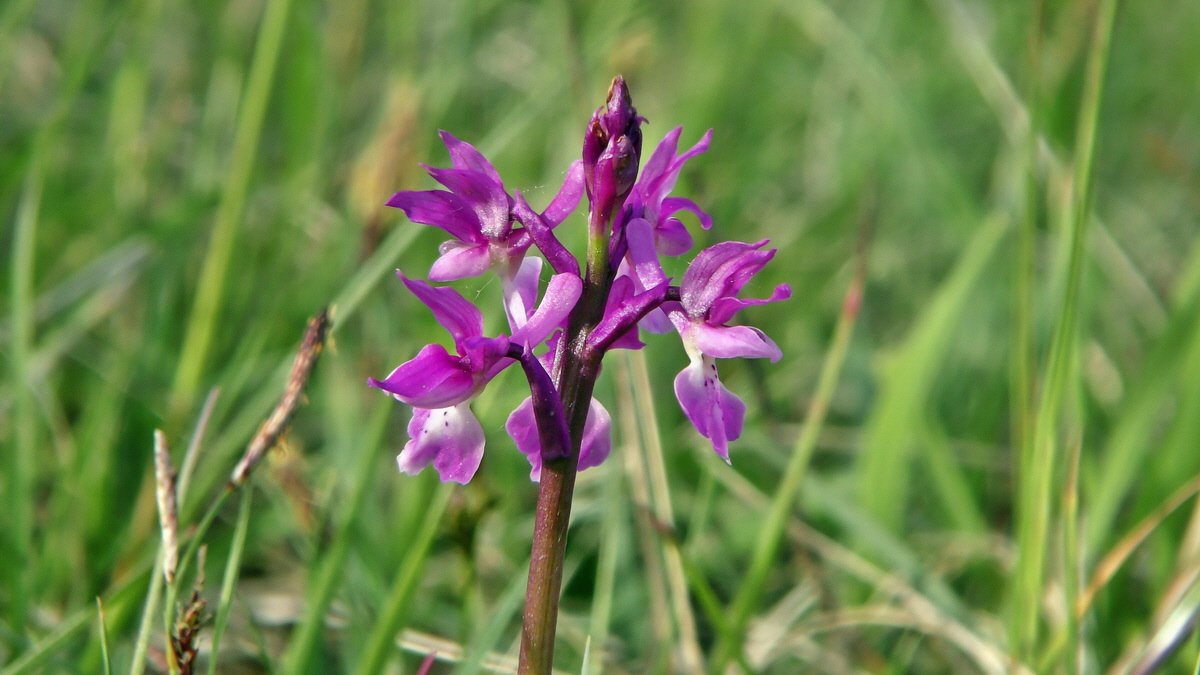 05-11-2015_094133p_Bildgr��e �ndern