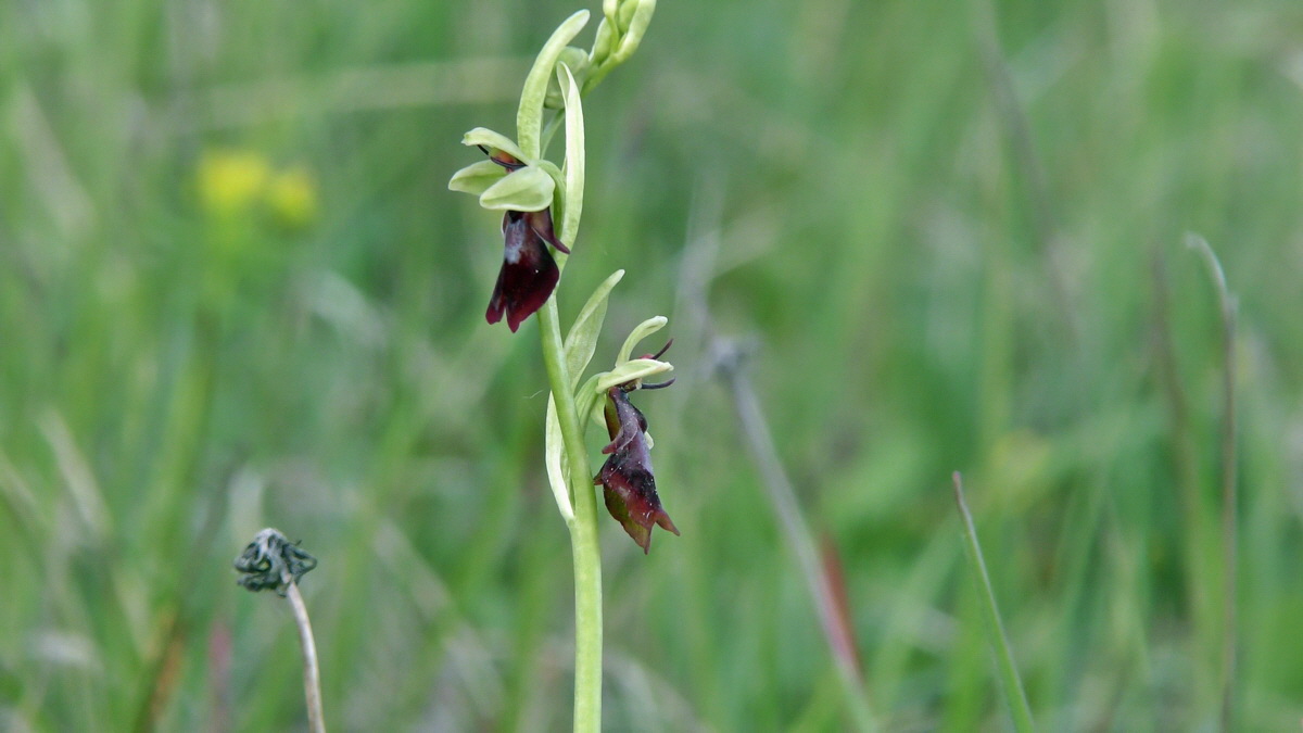 05-11-2015_094757(2)p_Bildgr��e �ndern