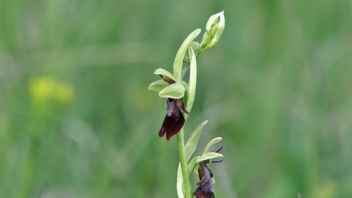 05-11-2015_094757p_Bildgr��e �ndern