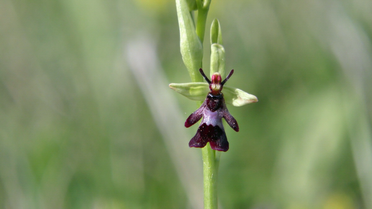 05-11-2015_095205p_Bildgr��e �ndern