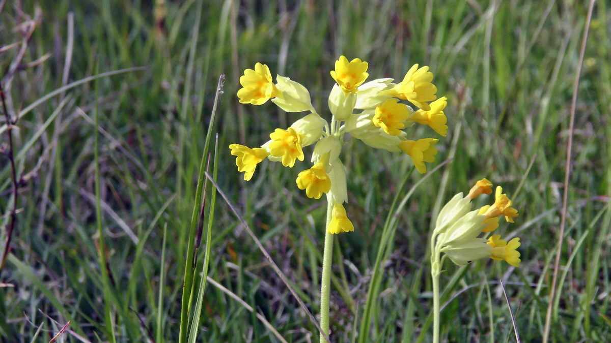 05-11-2015_095308p_Bildgr��e �ndern