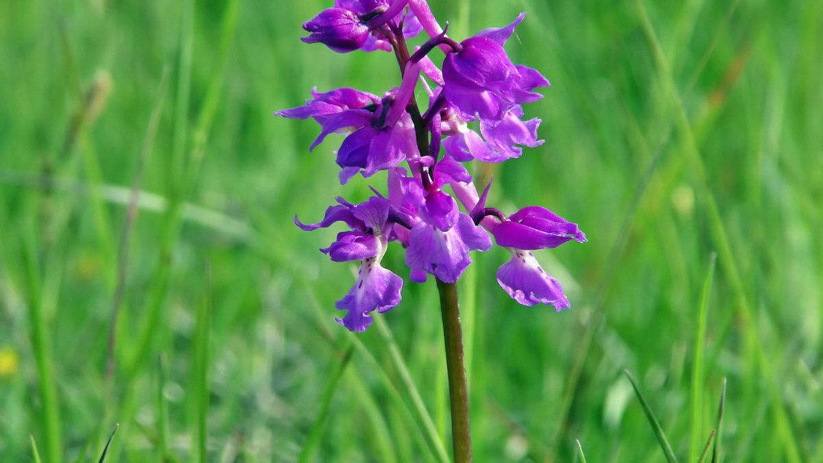 05-11-2015_095457p_Bildgr��e �ndern