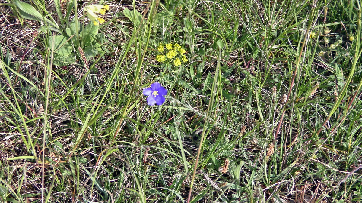 05-11-2015_095915(1)p_Bildgr��e �ndern