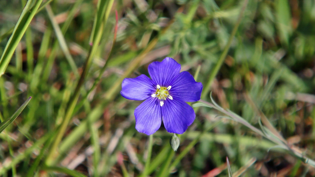 05-11-2015_095915p_Bildgr��e �ndern