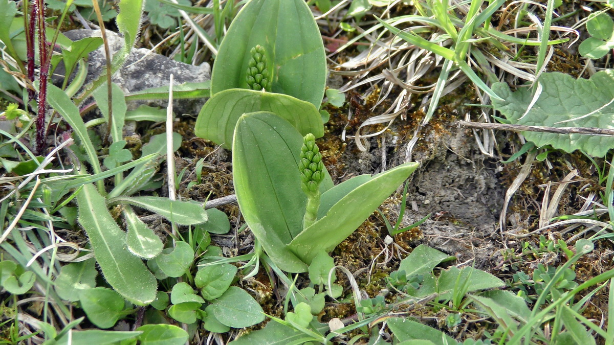 05-11-2015_100614(1)p_Bildgr��e �ndern