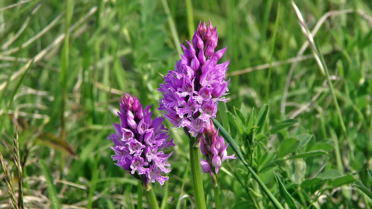 05-11-2015_110046p_Bildgr��e �ndern