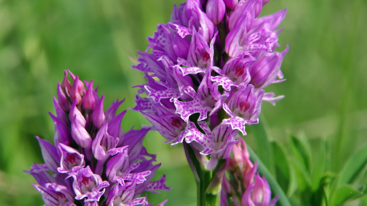 05-11-2015_110704p_Bildgr��e �ndern