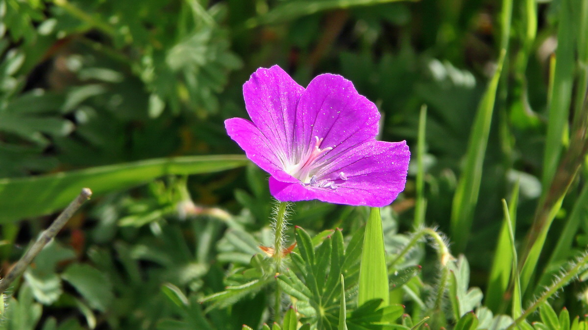 05-11-2015_114614p_Bildgr��e �ndern