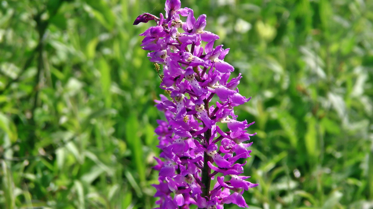 05-11-2015_115056(1)p_Bildgr��e �ndern