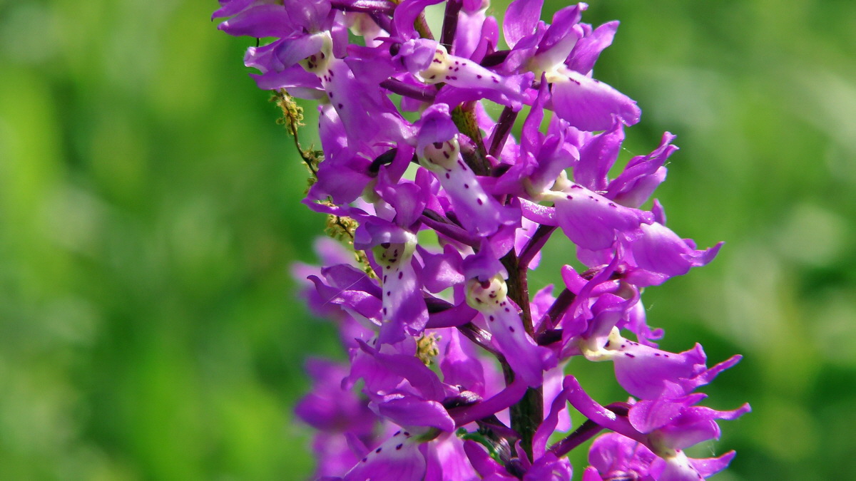 05-11-2015_115056p_Bildgr��e �ndern