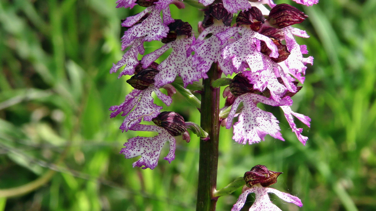 05-11-2015_120241p_Bildgr��e �ndern