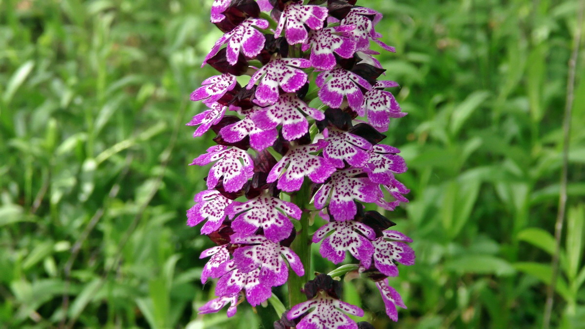 05-11-2015_120355(1)p_Bildgr��e �ndern