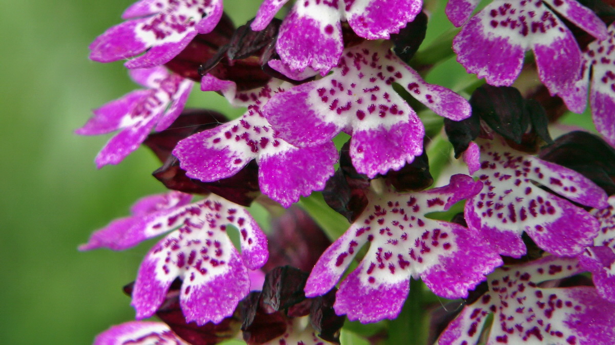 05-11-2015_120355p_Bildgr��e �ndern