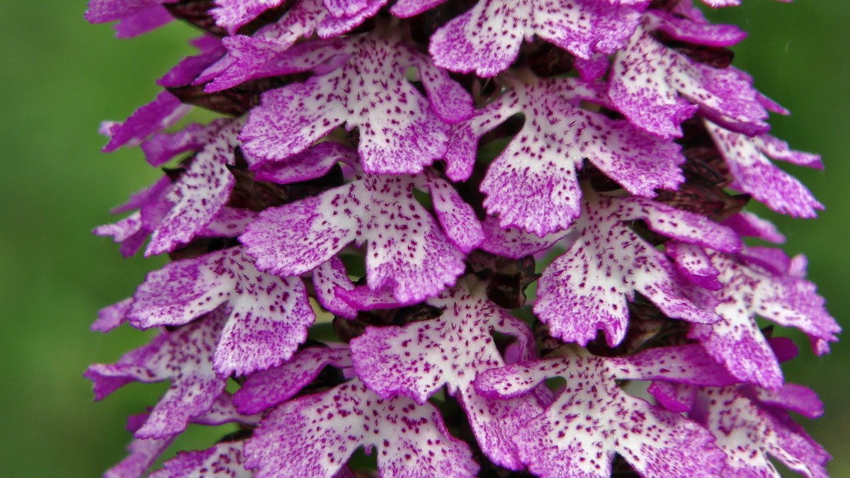 05-11-2015_120708p_Bildgr��e �ndern