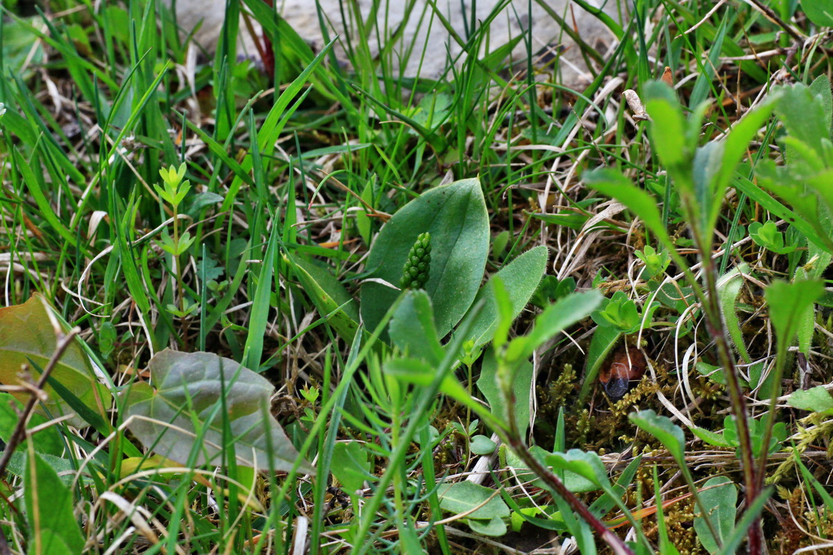 2015_05_11_00019017p_Bildgr��e �ndern