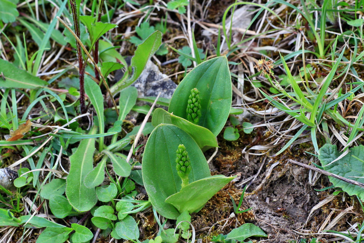 2015_05_11_00019020p_Bildgr��e �ndern