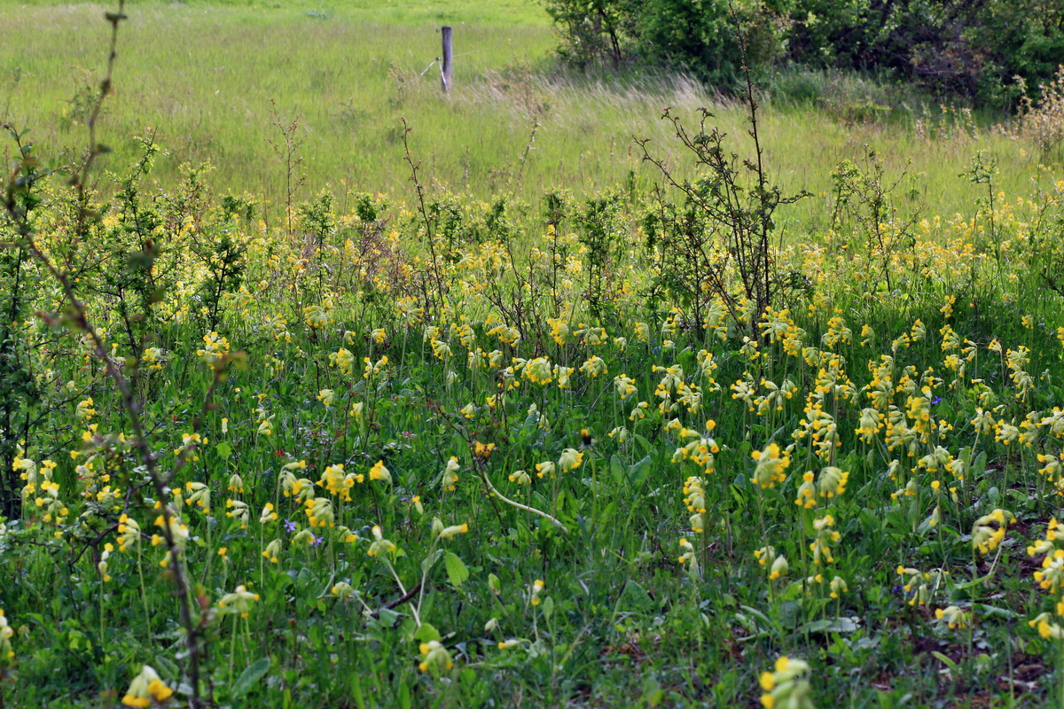 2015_05_11_00019022p_Bildgr��e �ndern