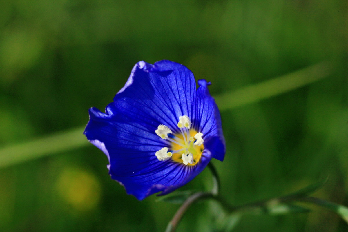 2015_05_11_00019028p_Bildgr��e �ndern