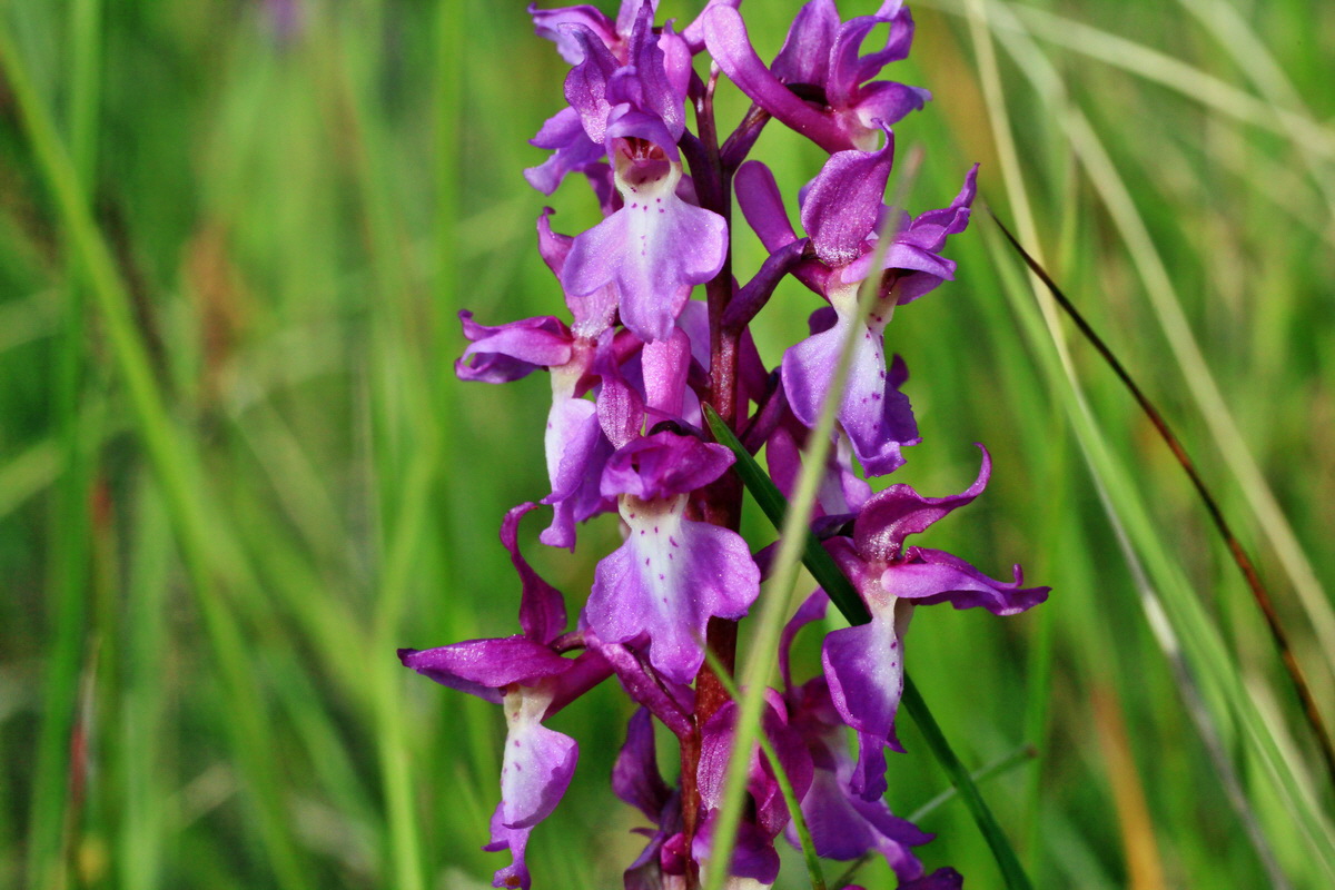 2015_05_11_00019032p_Bildgr��e �ndern