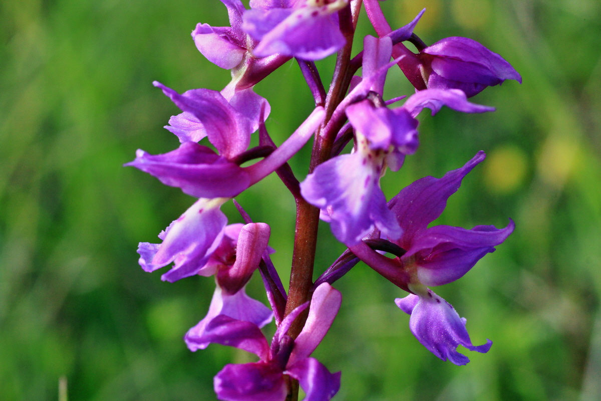 2015_05_11_00019039p_Bildgr��e �ndern