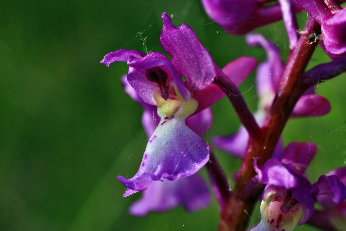 2015_05_11_00019042p_Bildgr��e �ndern