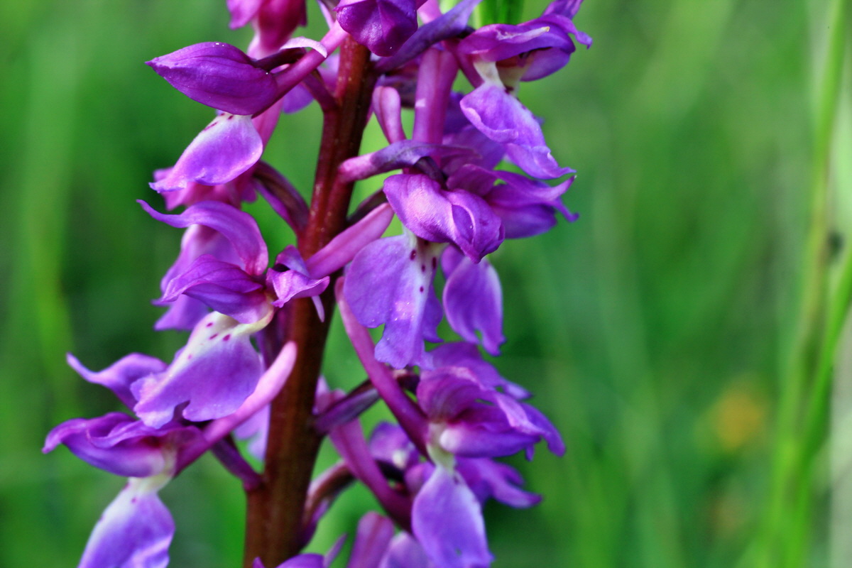 2015_05_11_00019047p_Bildgr��e �ndern