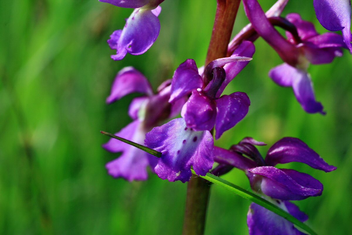 2015_05_11_00019050p_Bildgr��e �ndern