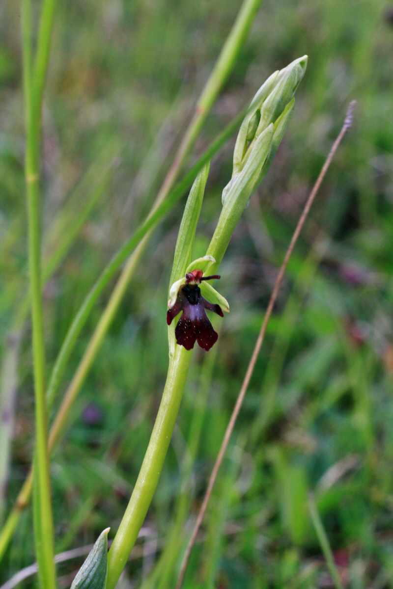 2015_05_11_00019060p_Bildgr��e �ndern