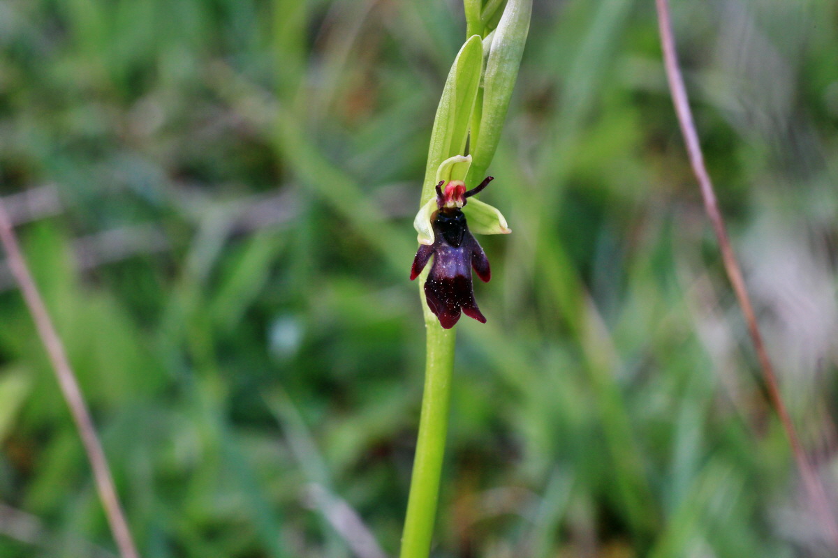 2015_05_11_00019066p_Bildgr��e �ndern