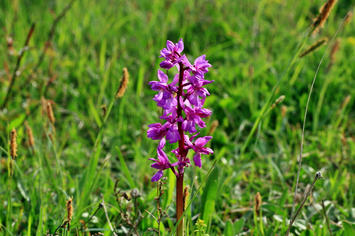 2015_05_11_00019068p_Bildgr��e �ndern