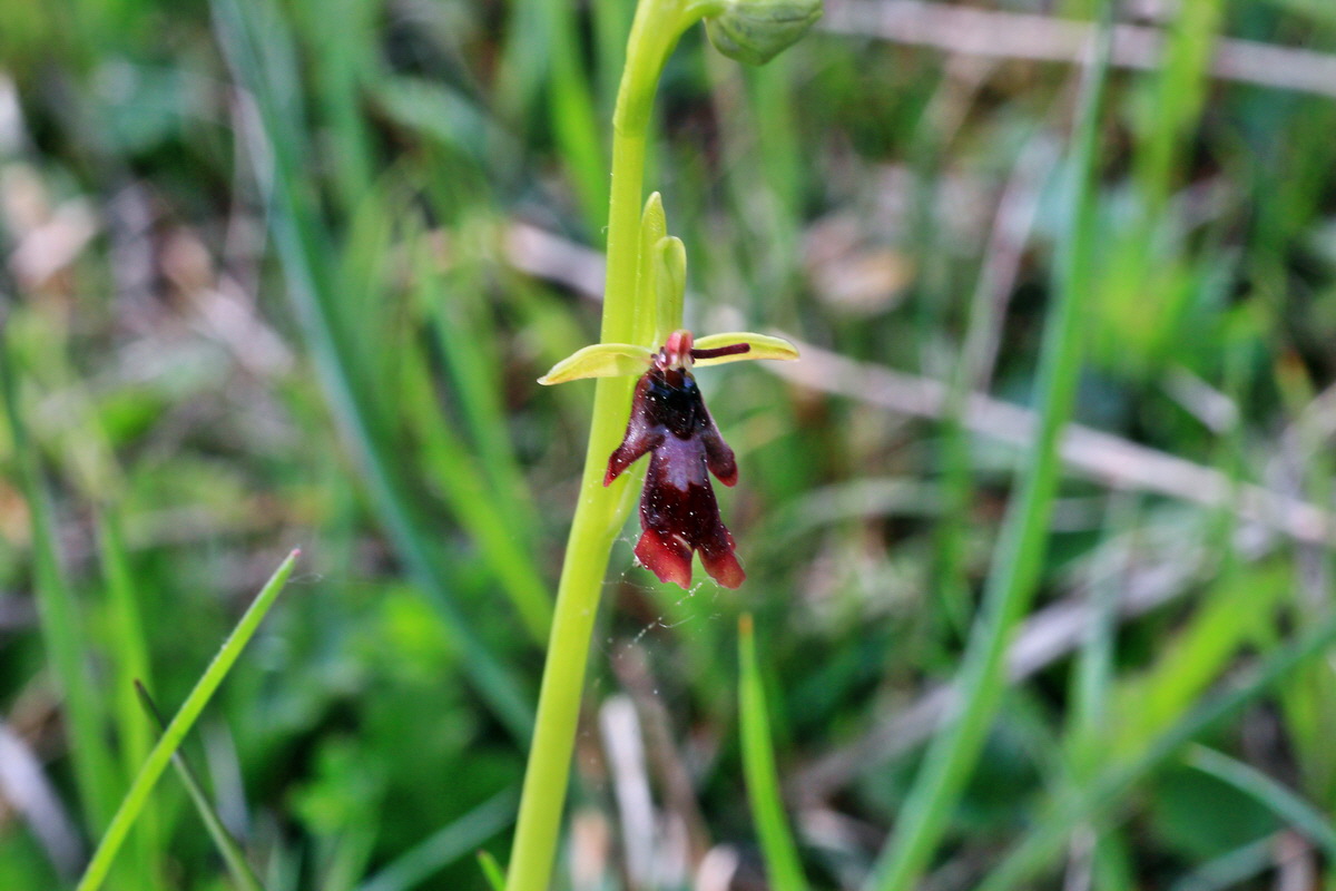 2015_05_11_00019079p_Bildgr��e �ndern