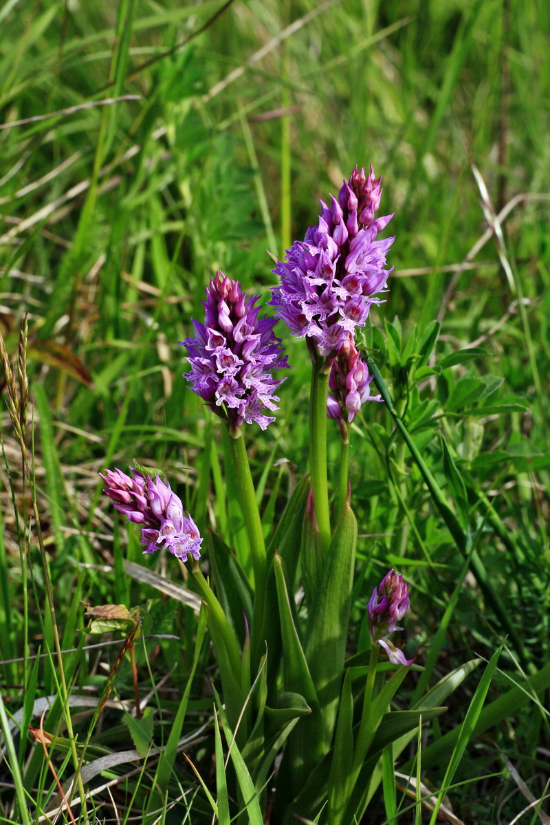 2015_05_11_00019092p_Bildgr��e �ndern