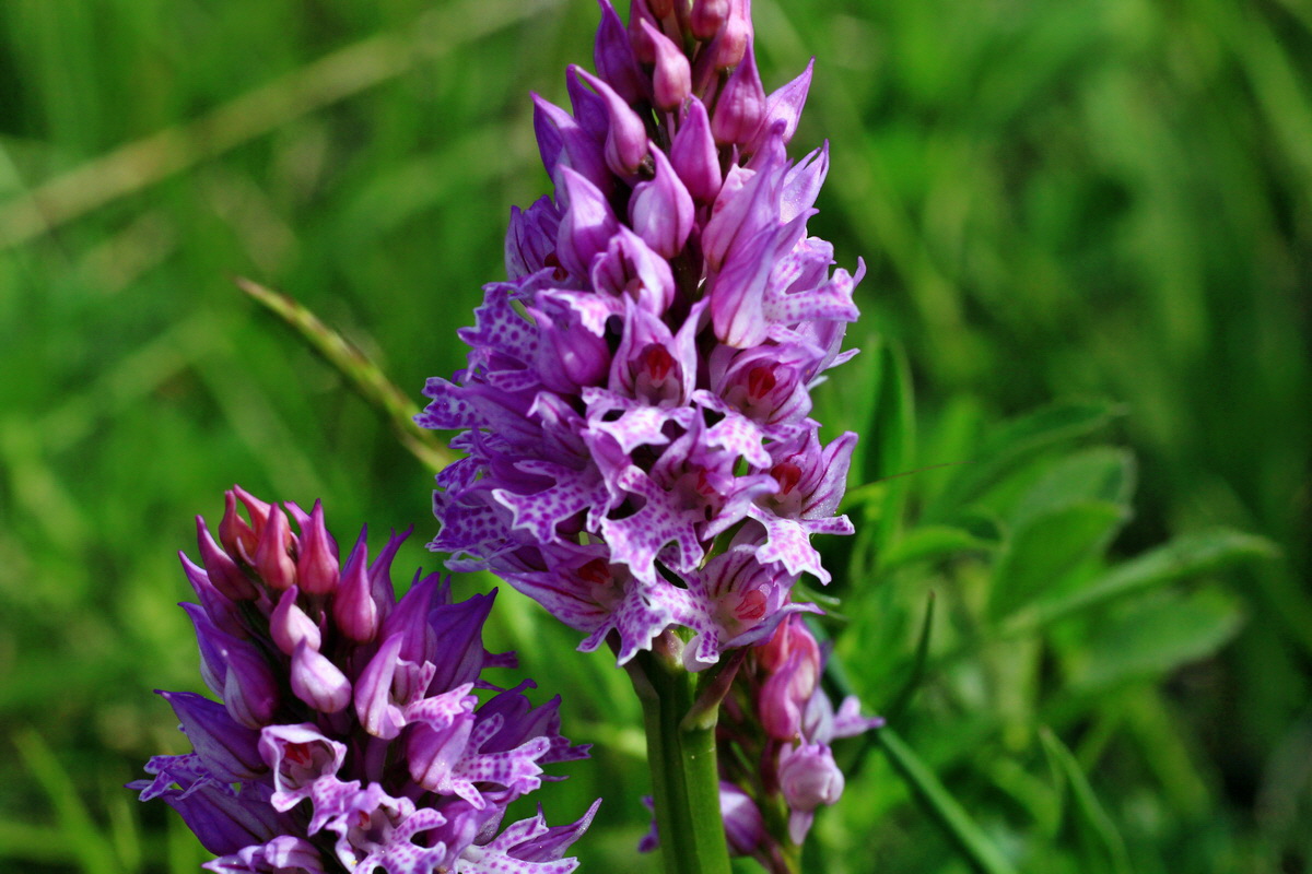 2015_05_11_00019103p_Bildgr��e �ndern