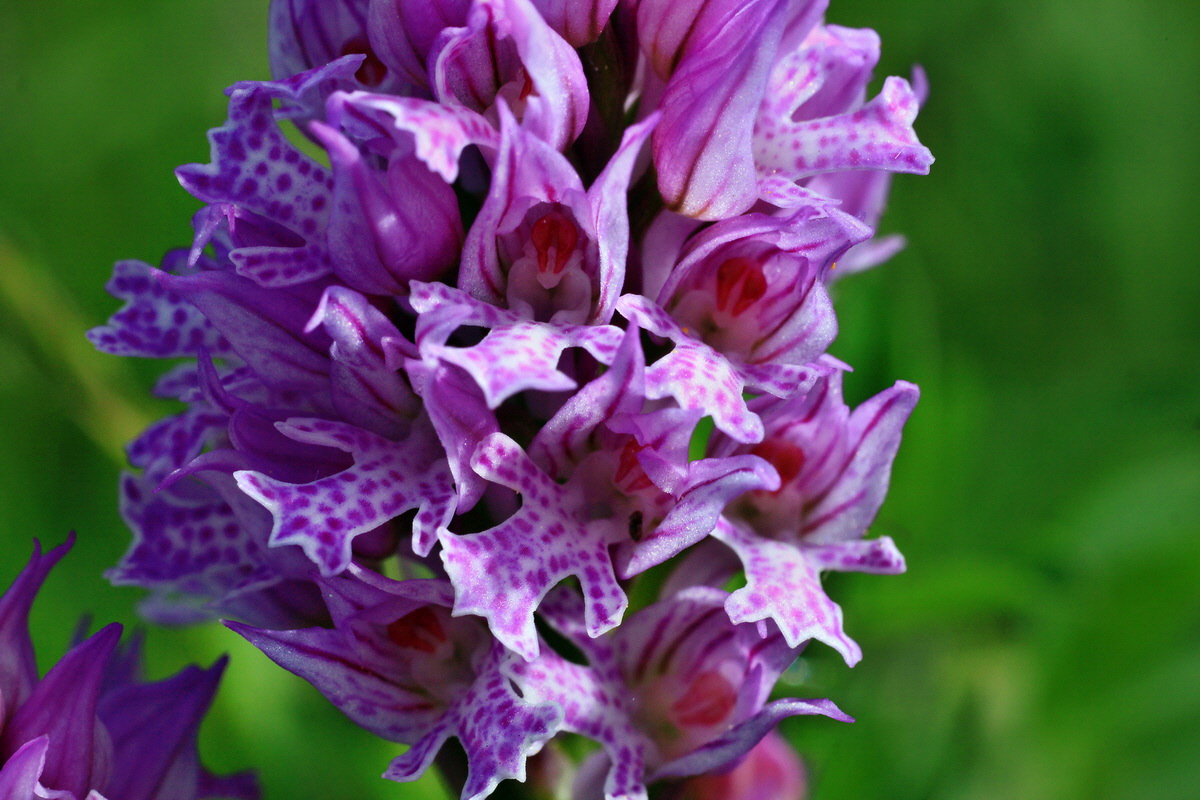 2015_05_11_00019108p_Bildgr��e �ndern