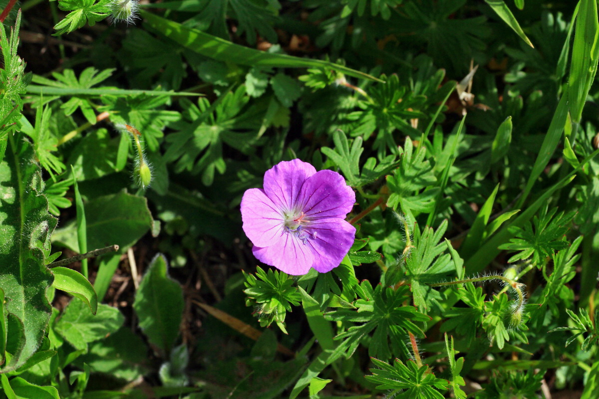 2015_05_11_00019115p_Bildgr��e �ndern