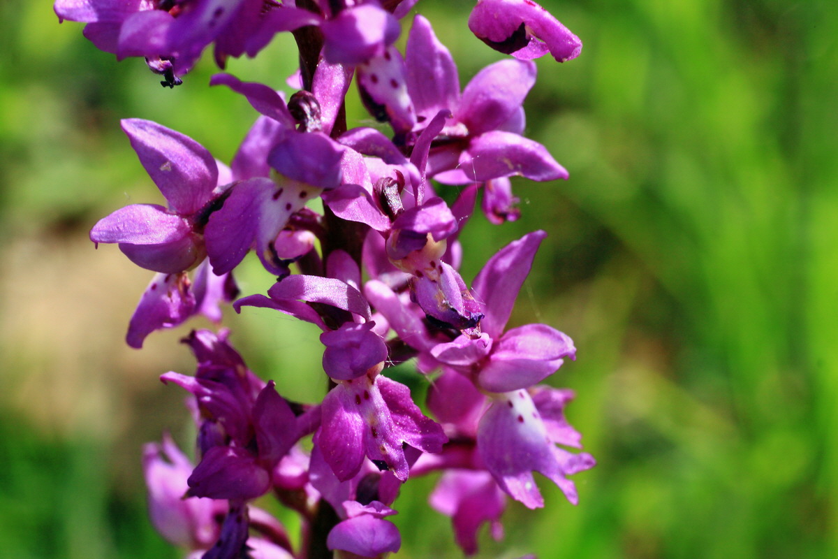 2015_05_11_00019119p_Bildgr��e �ndern