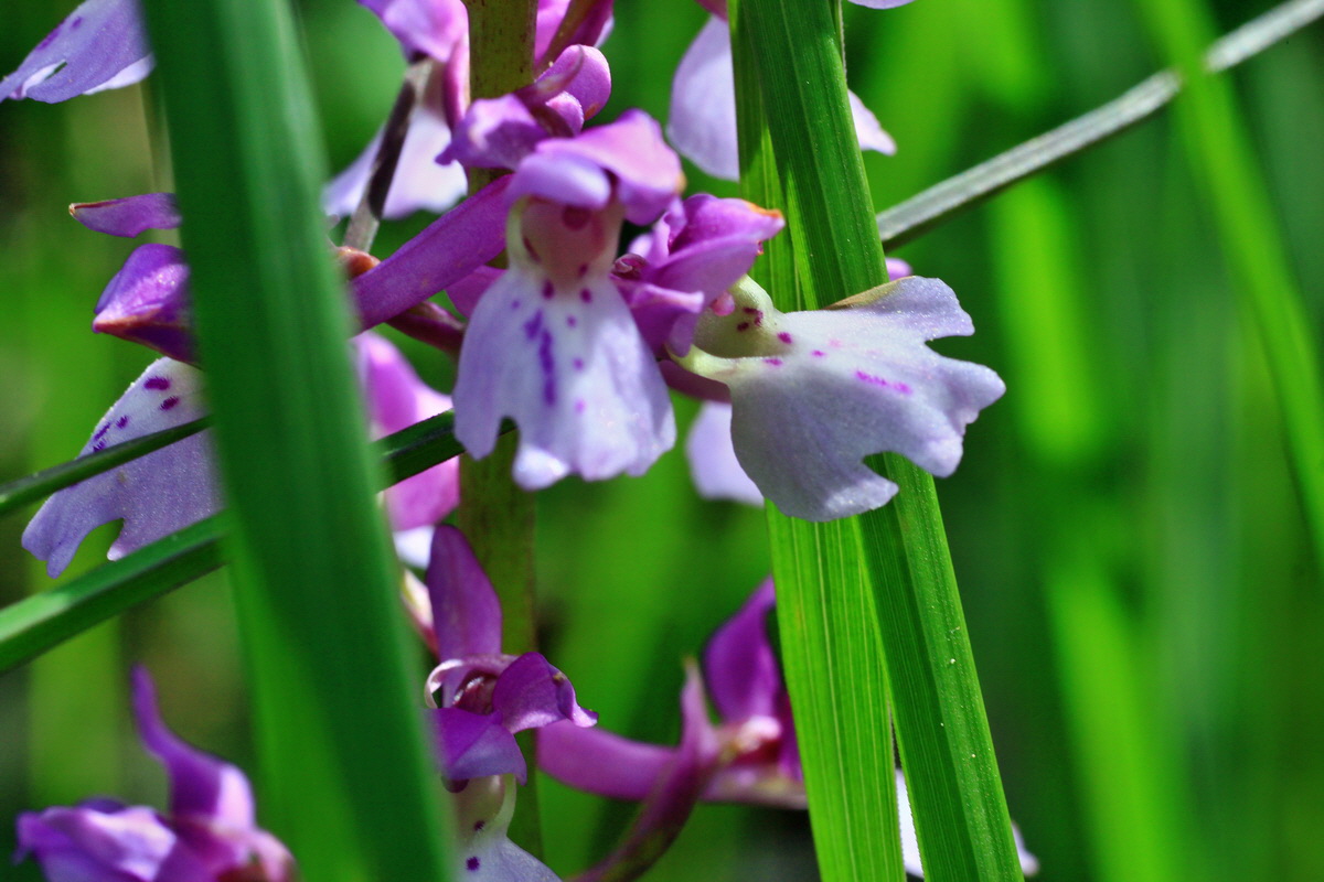 2015_05_11_00019126p_Bildgr��e �ndern