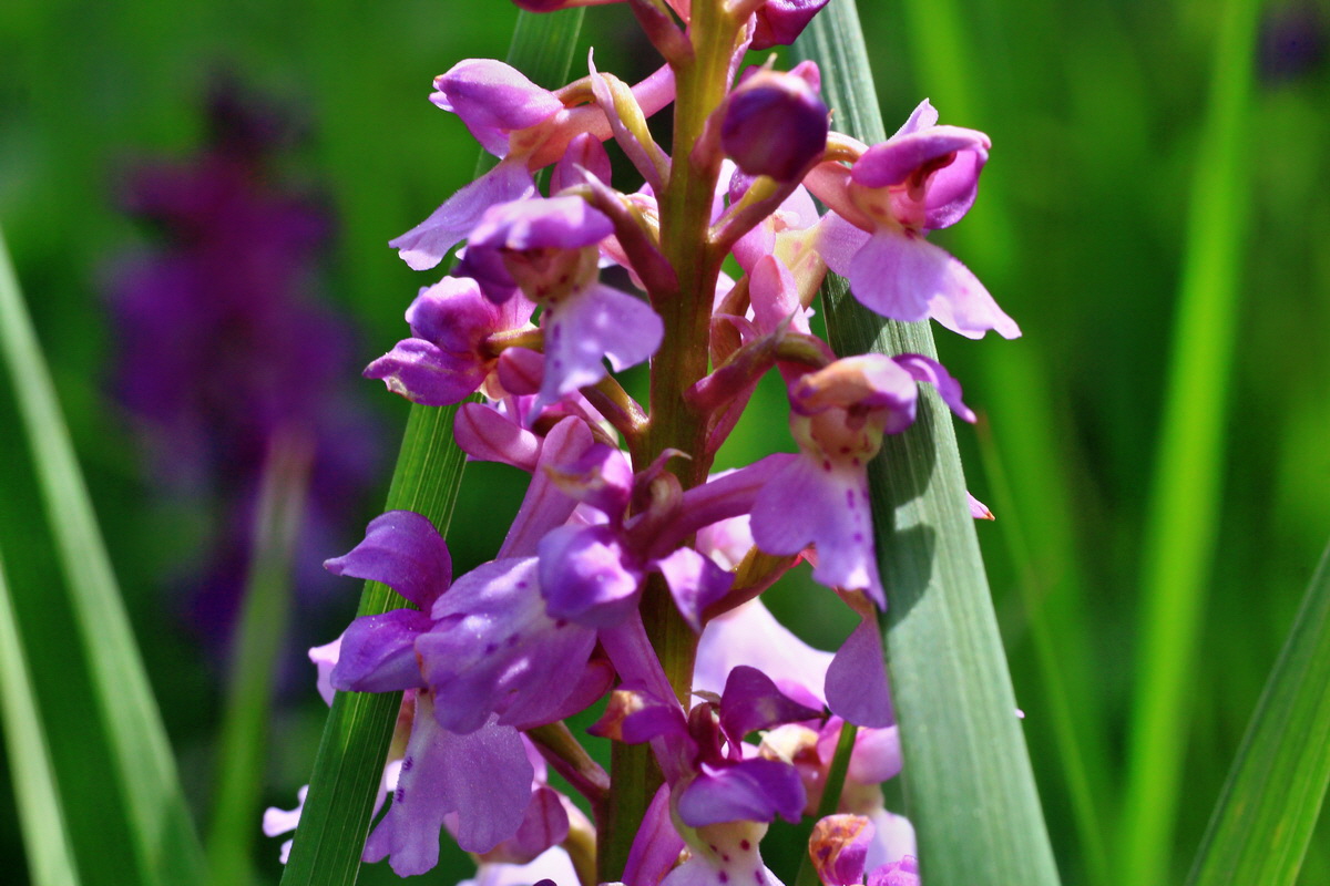 2015_05_11_00019129p_Bildgr��e �ndern