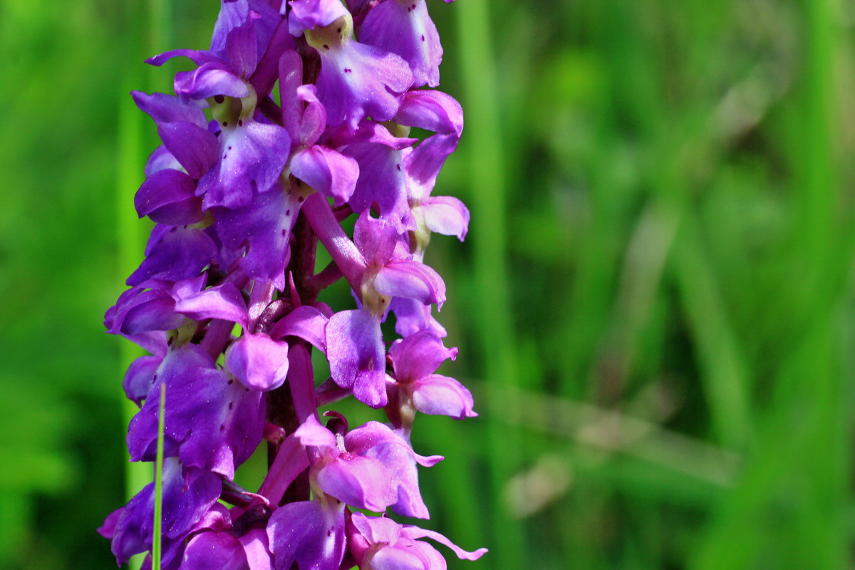 2015_05_11_00019143p_Bildgr��e �ndern