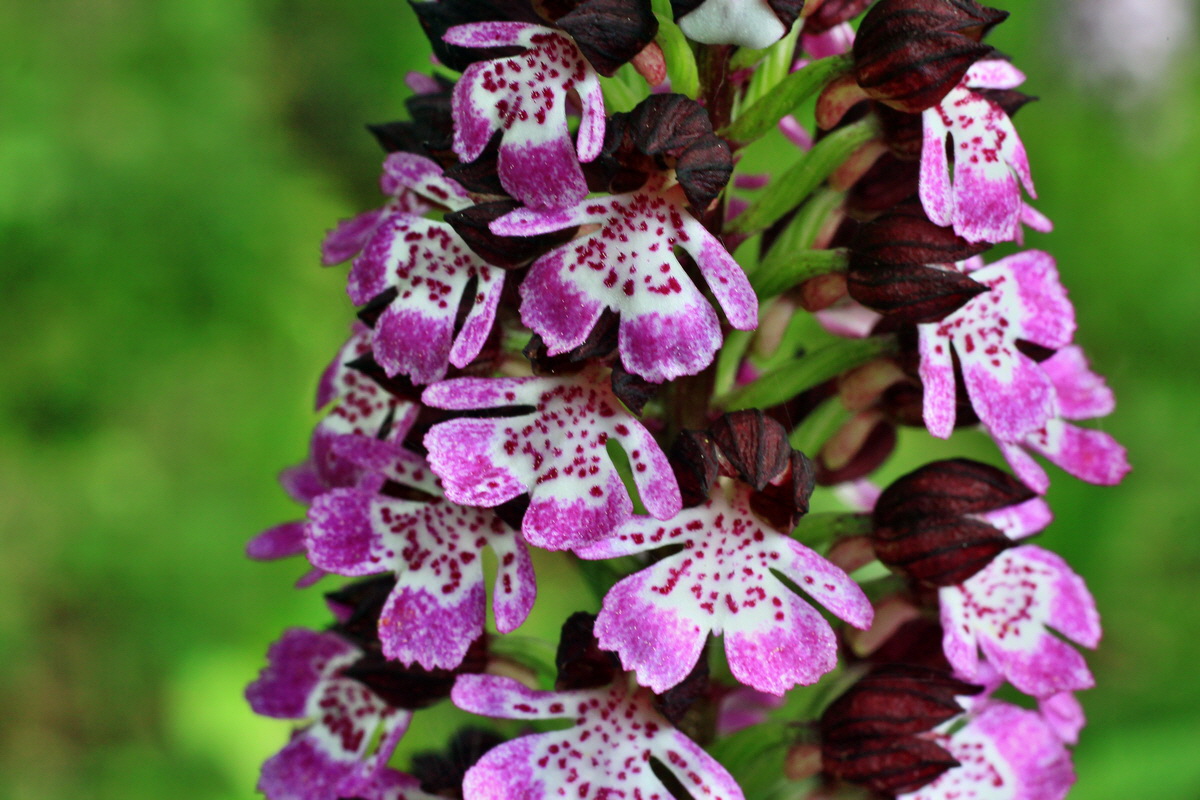 2015_05_11_00019170p_Bildgr��e �ndern