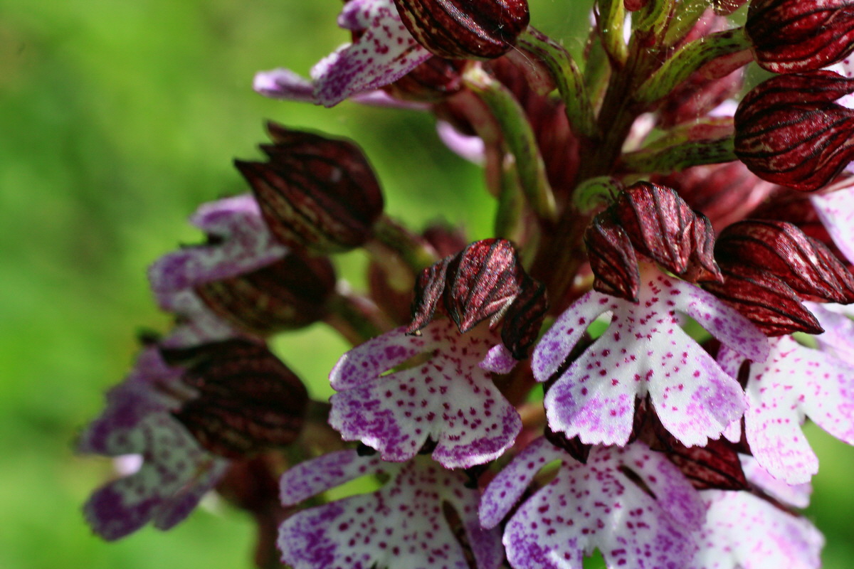 2015_05_11_00019175p_Bildgr��e �ndern