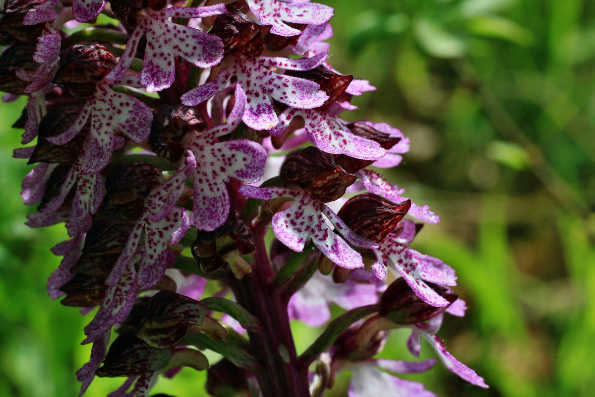 2015_05_11_00019178p_Bildgr��e �ndern